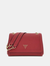 29671 - NOELLE_II_CONV_XBODY_FLAP