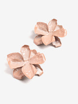 32646 - Ear_10559
