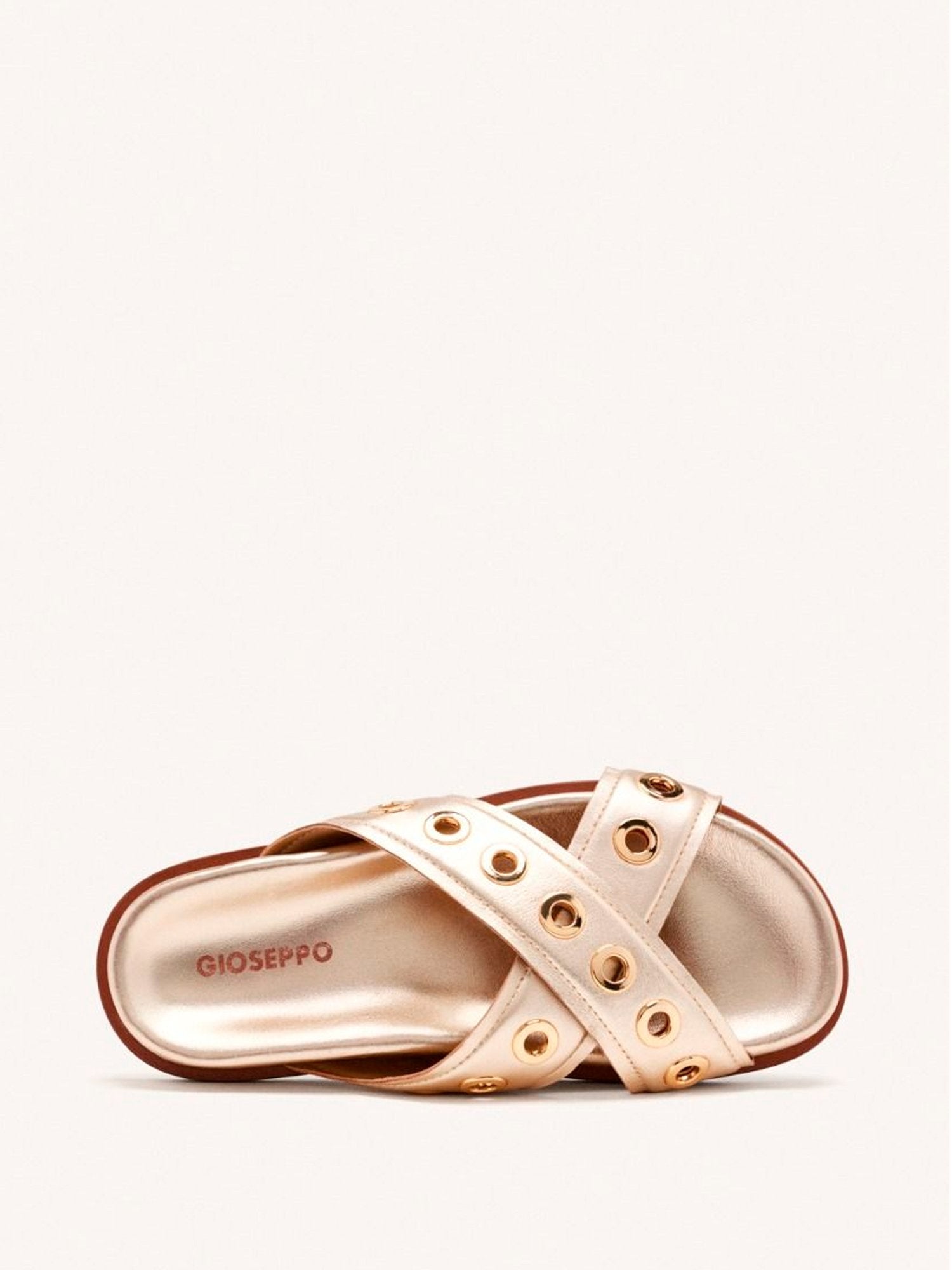 25582 - Chinelo_Hiles