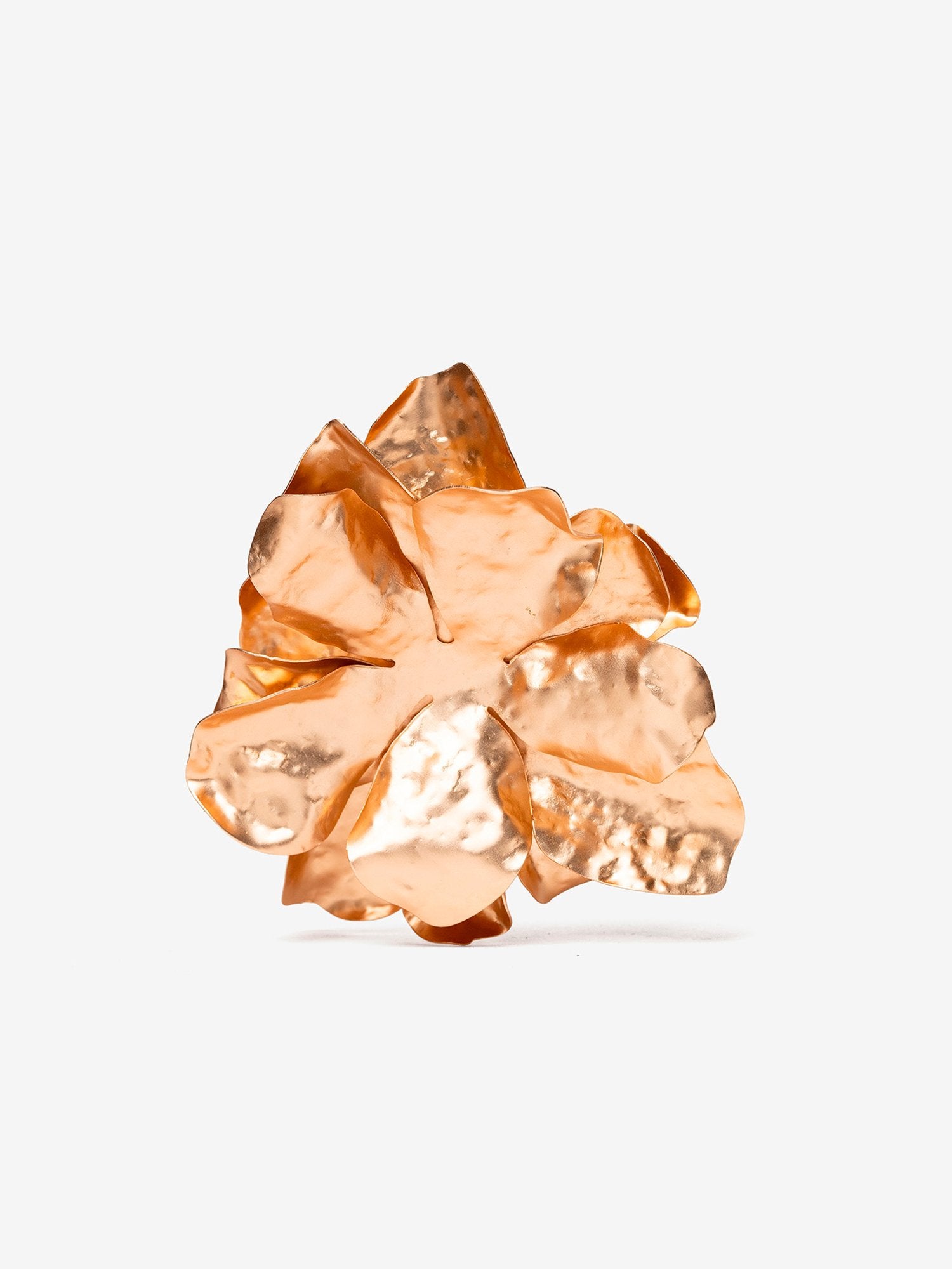 32664 - Ear_10582