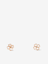 33351 - EAR_7368