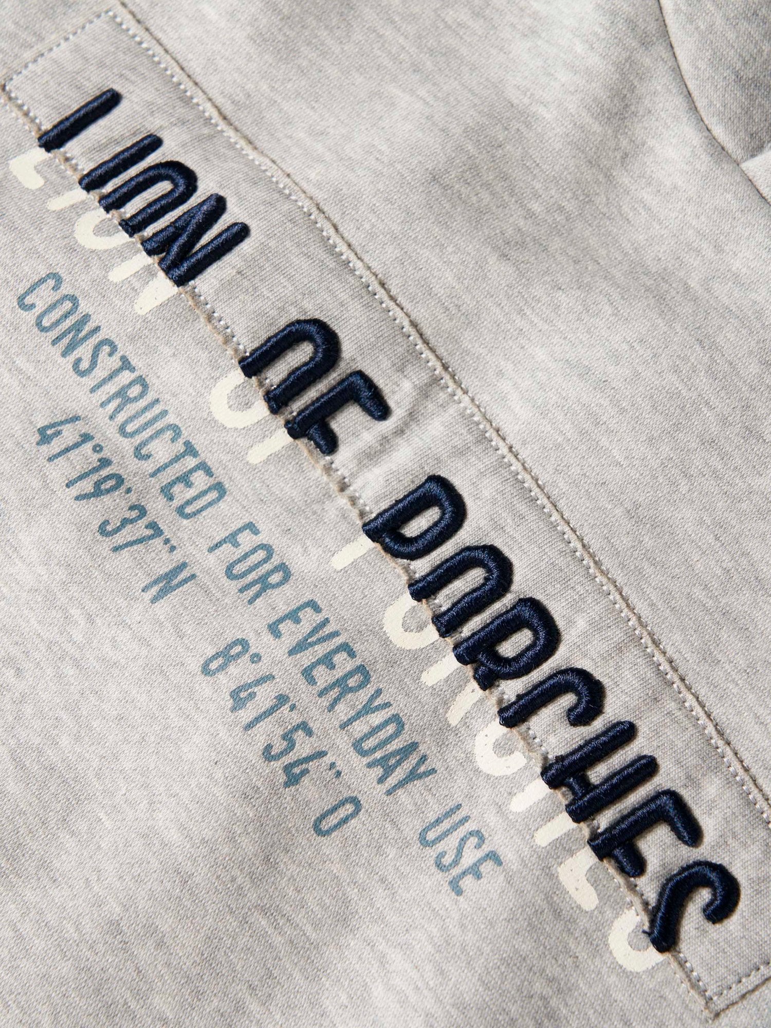 29532 - Camisola_Lion_Of_Porches_Com_Capuz