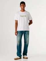 31264 - SEASONAL_LOGO_FANTASY_3