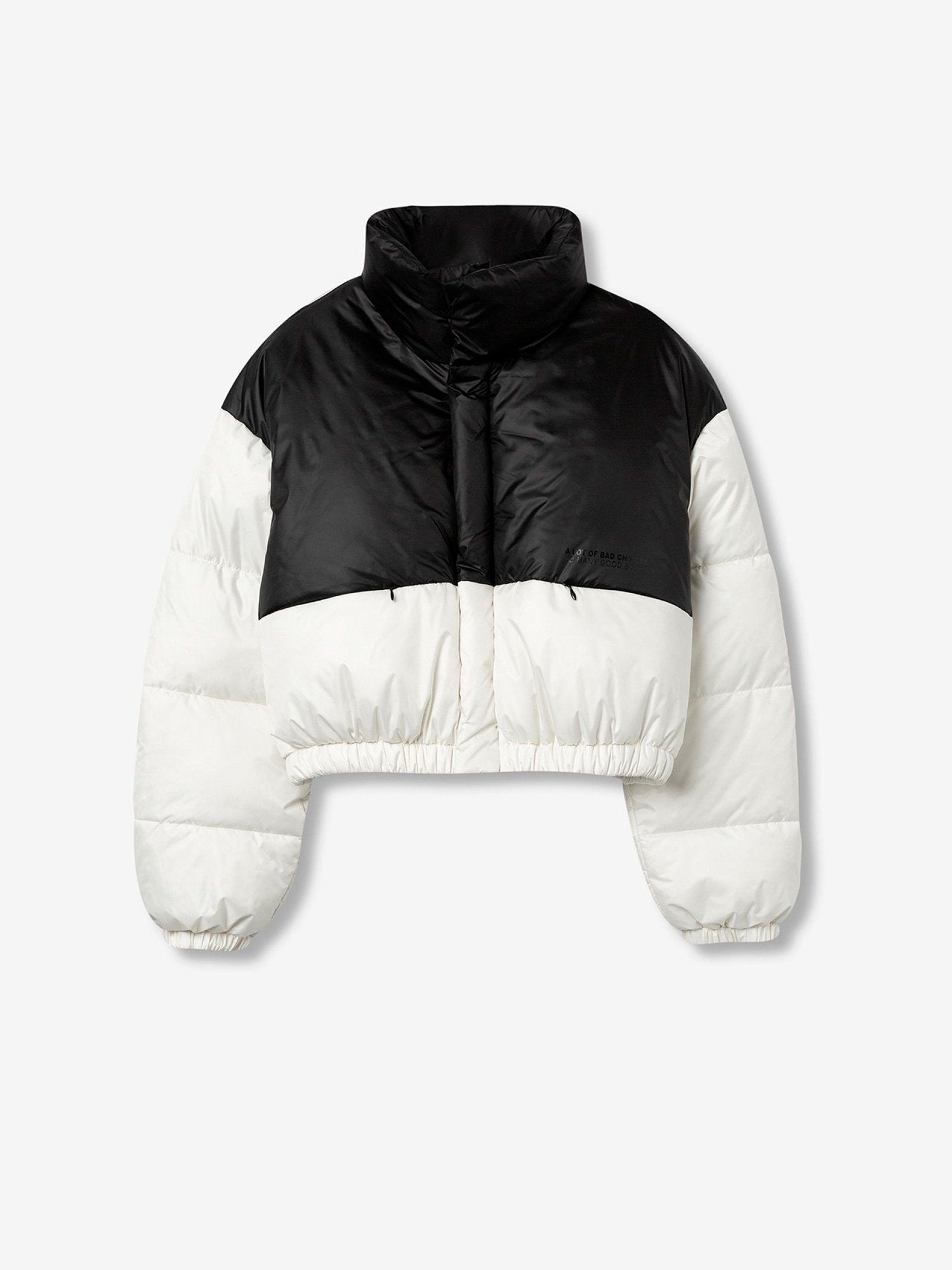 28430 - Kispo_Curto_Anodaon_1