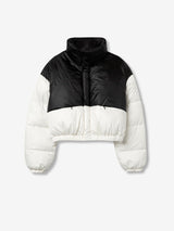 28430 - Kispo_Curto_Anodaon_1