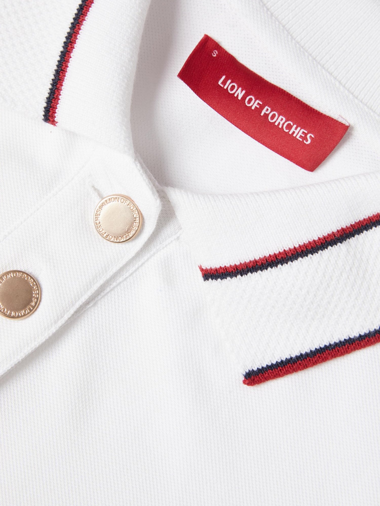 31514 - Polo_Lion_Mulher