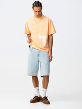 32994 - Nash_1
