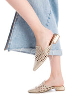 24824 - Mule_Senhora