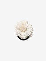 33249 - HAIR_1456