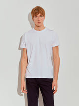 24412 - T-SHIRT_BÁSICA_ALGODÃO