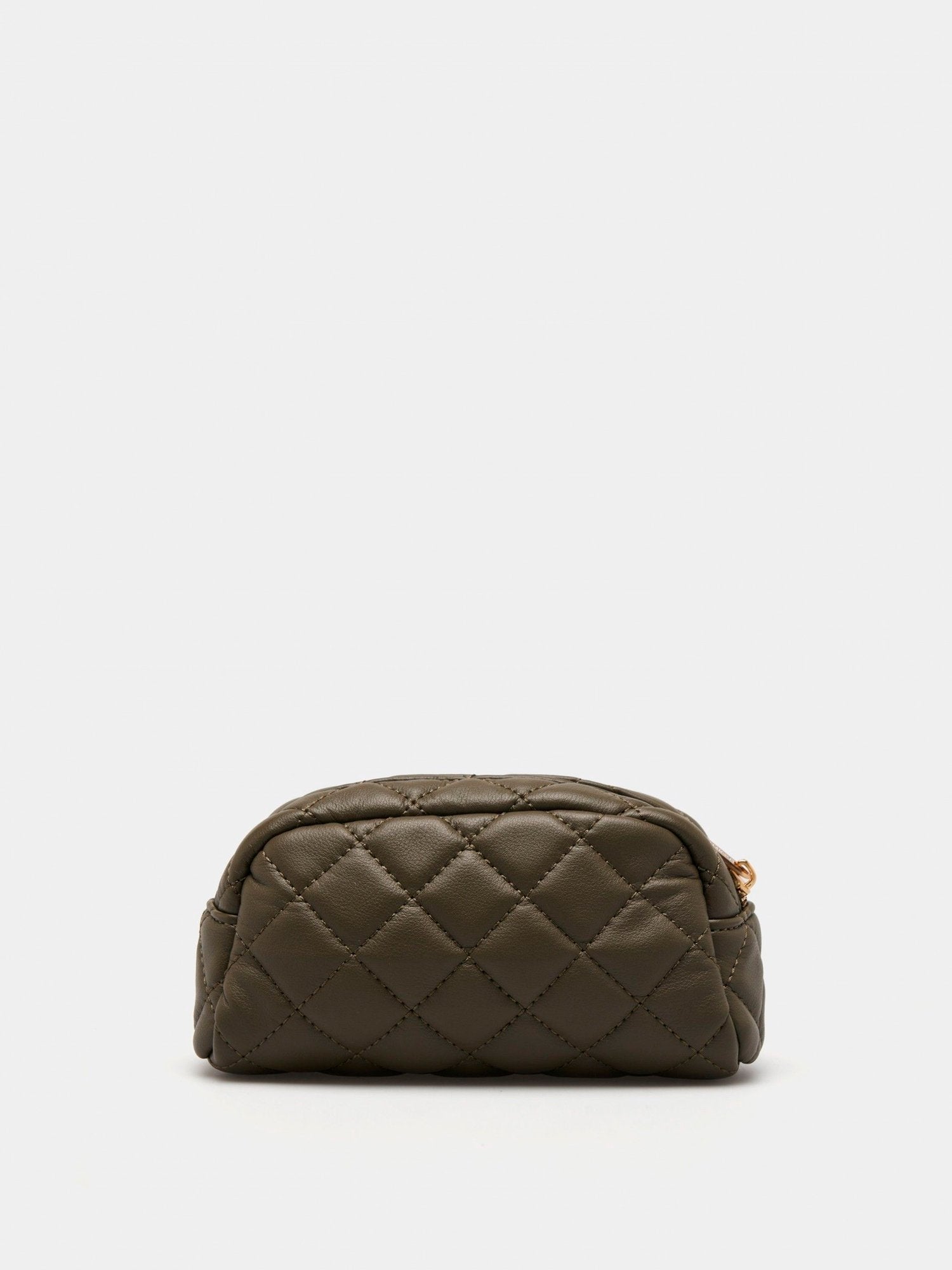 29466 - Necessaire_Lion_of_Porches