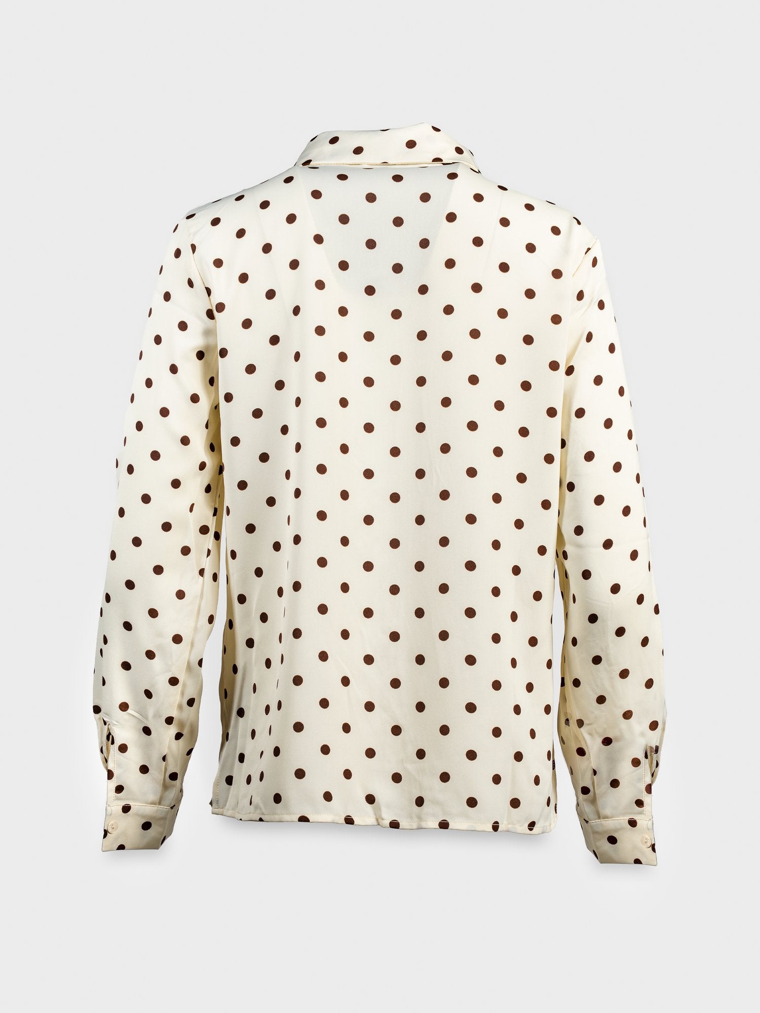 29610 - Camisa_Pintas