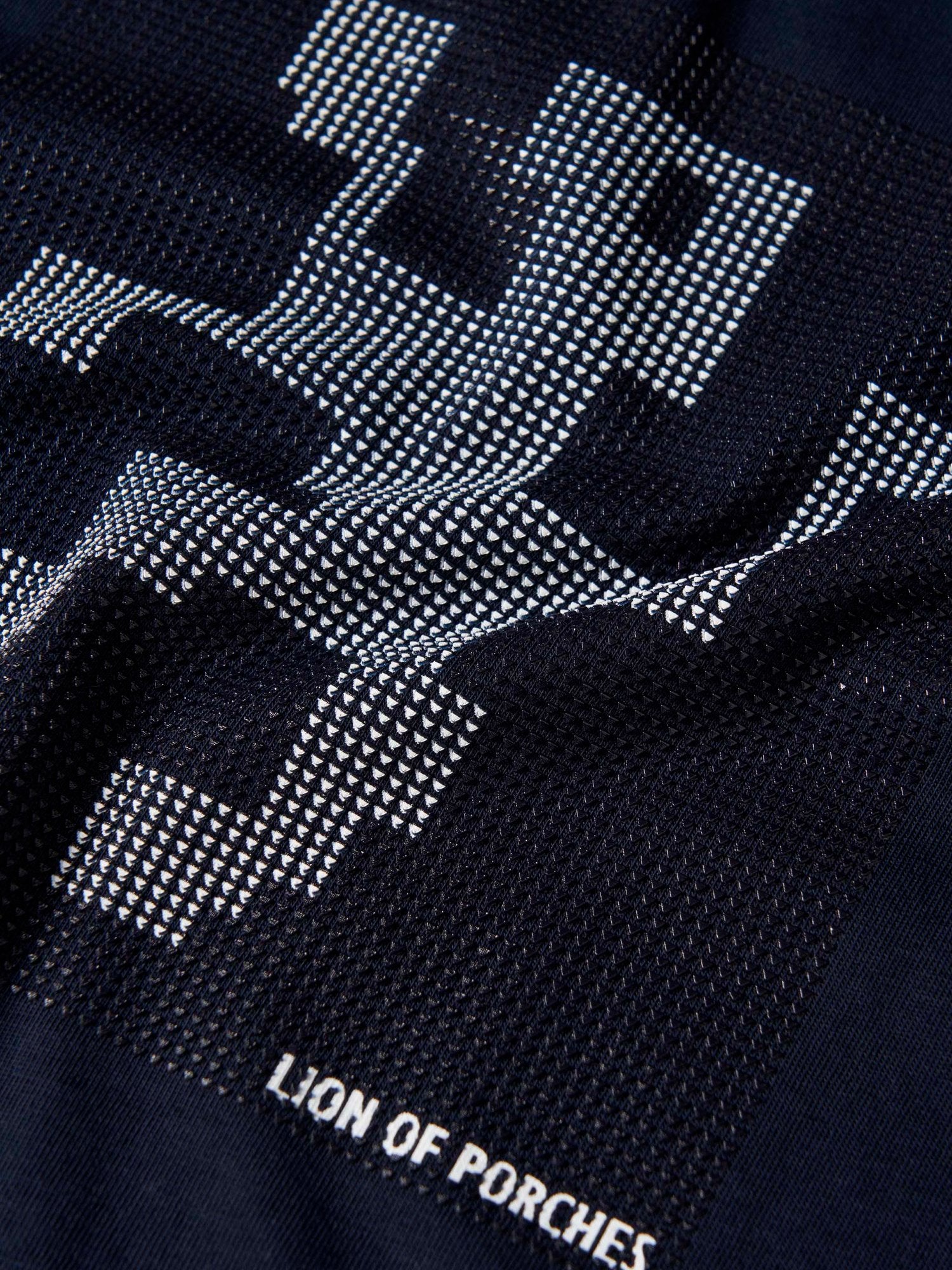 28487 - T-Shirt_Lion_Menino