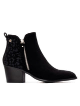 29331 - Botim_Antelina_XTI